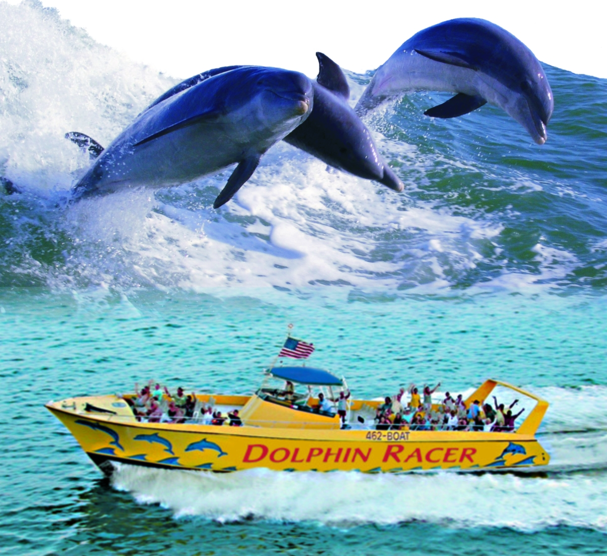 Dolphin Racer Adventure
